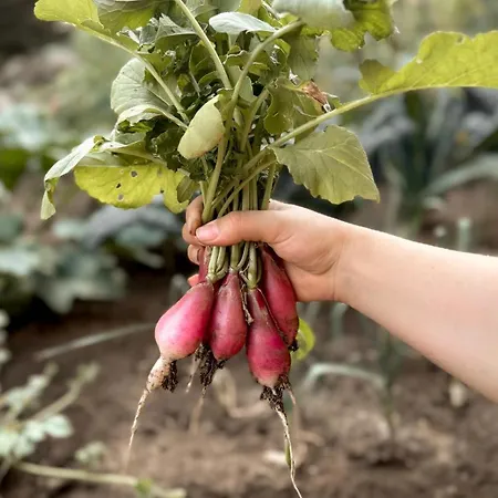 Casa As Fontes Πανσιόν 3*