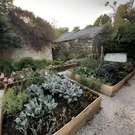 Lantställe Casa As Fontes Porqueiros